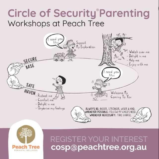 Circle of Security Parenting TM (Abbreviated) In-Person Moreton Bay