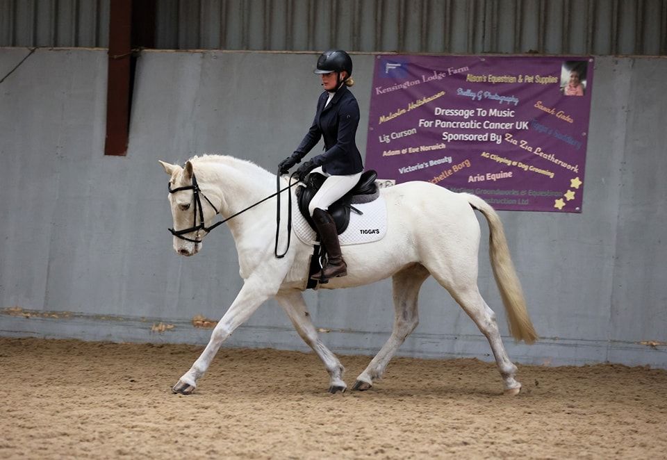 Winter Dressage League 