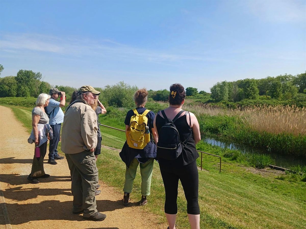 Active Maldon Wellbeing Walk:  Tiptree Heath