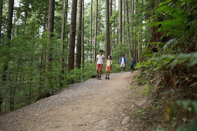 Cardiac Connection at Pelham: Forest Bathing