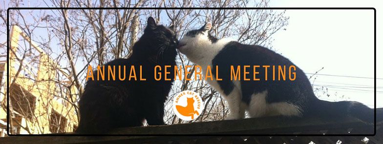 Annex Cat Rescue Annual General Meeting (AGM)