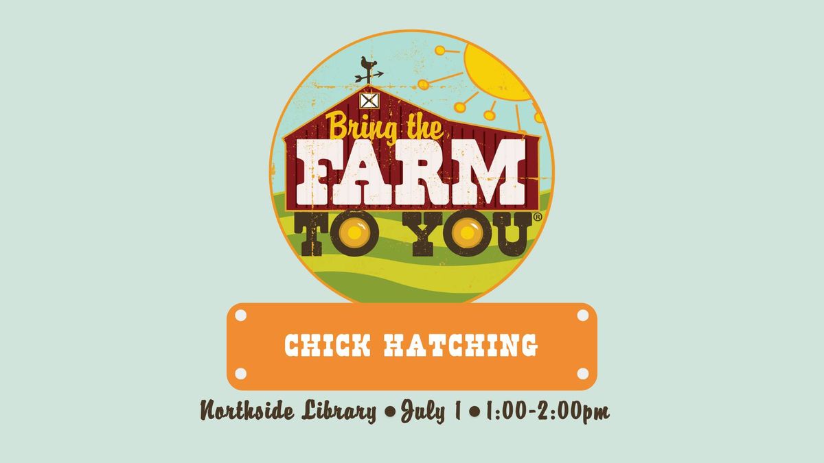Chick Hatching Kick-Off Presentation at the Northside Library!