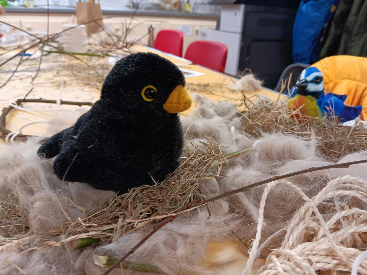 Swanwick Lakes Wildlife Tots: The Birdwatchers!