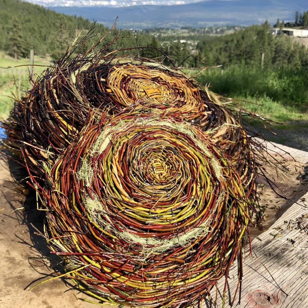 RCA Activities | Willow Weaving - Stars and Wreath with Annabel Stanley