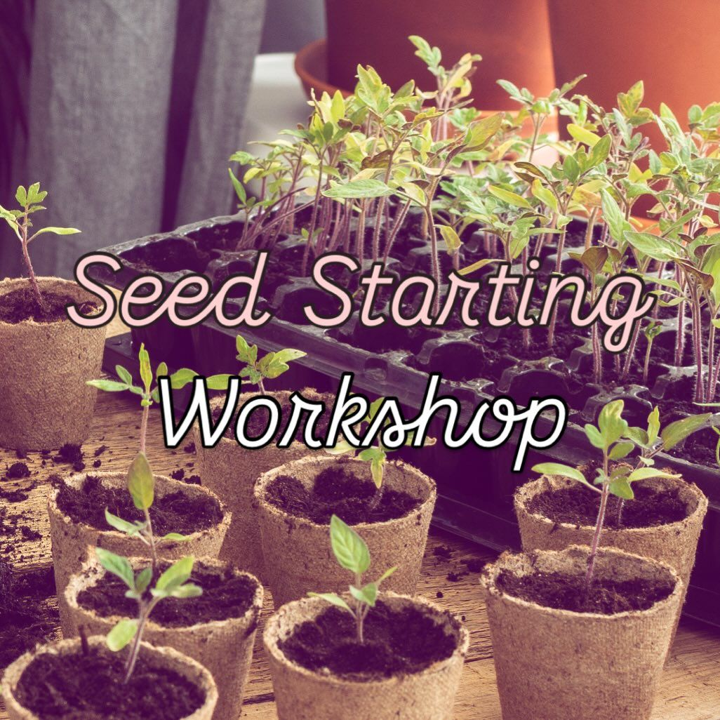 Seed Starting Workshop 