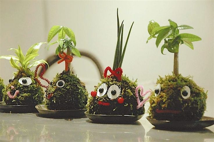 KIDS Kokedama Workshop