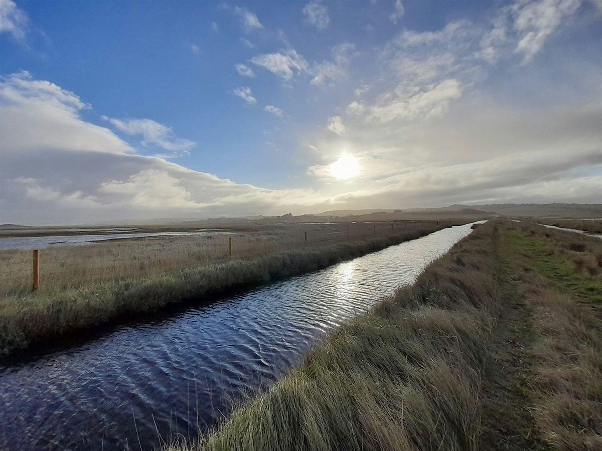 Iron Road ramble (13 January)