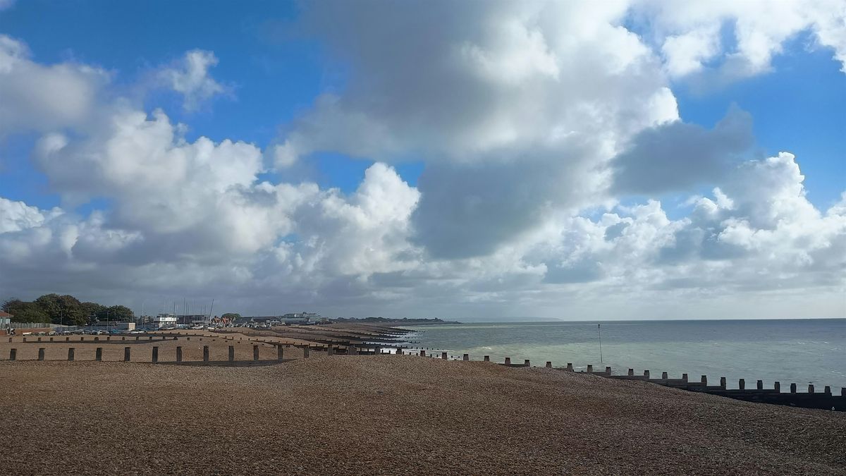 Painting by the Sea for Carers
