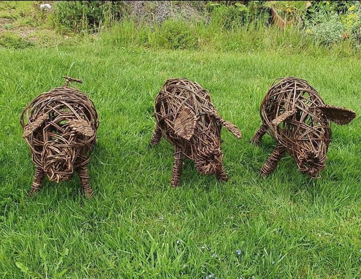 Willow Pig weaving Workshop 