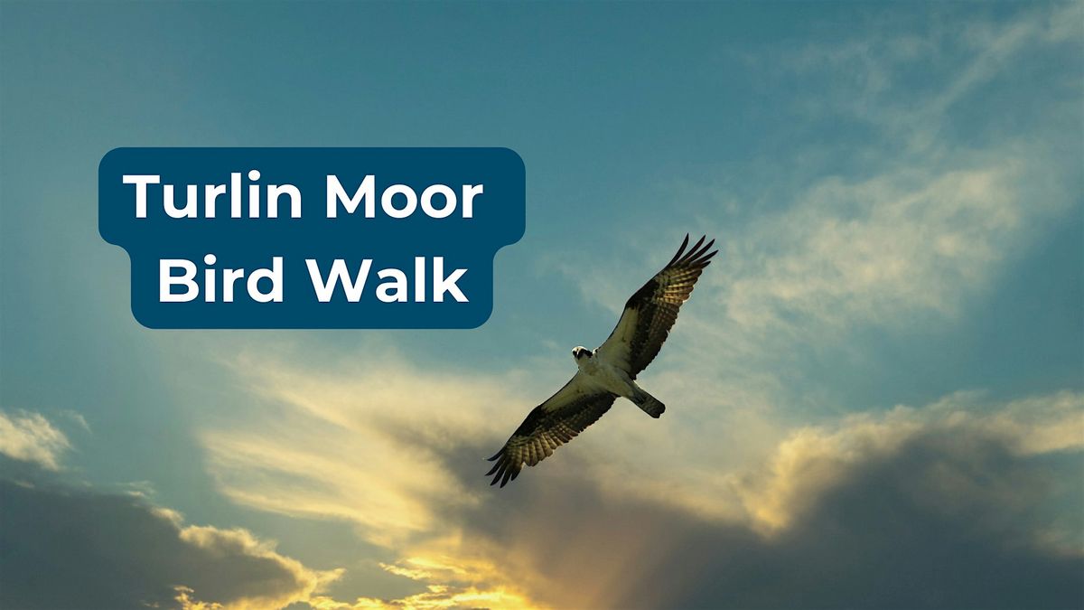 Festivities at the Bird Viewing Platform at Turlin Moor