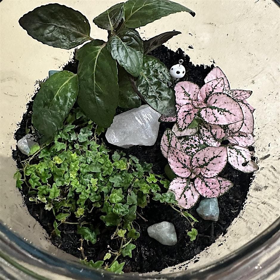 Terrarium Class