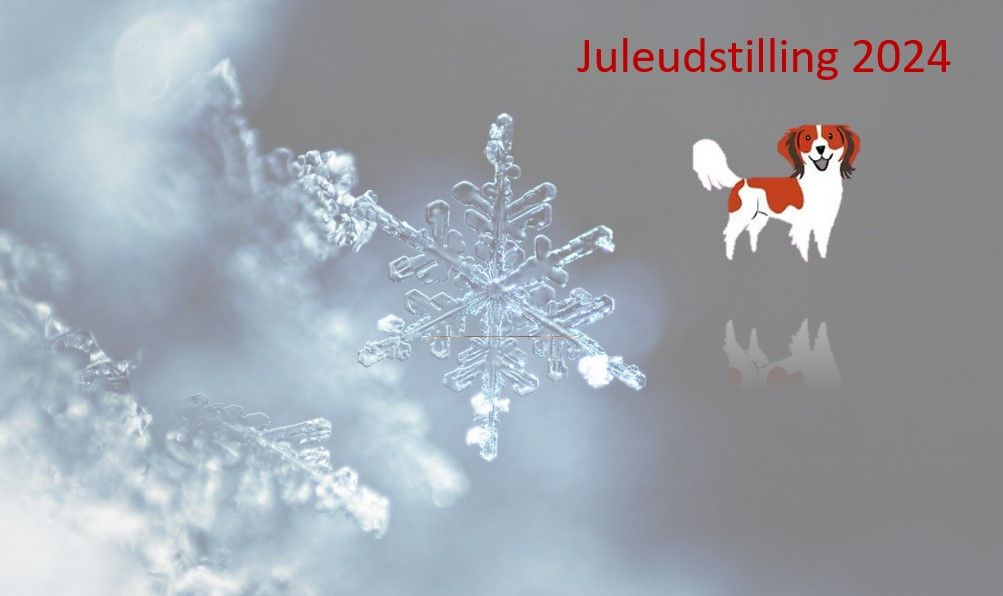 Juleudstilling (dobbeltudstilling)