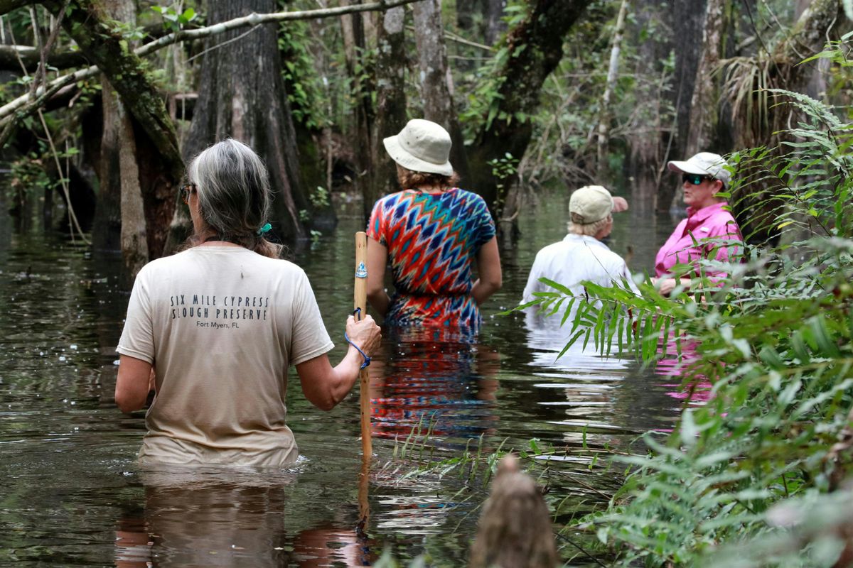 Wet Walks 2025