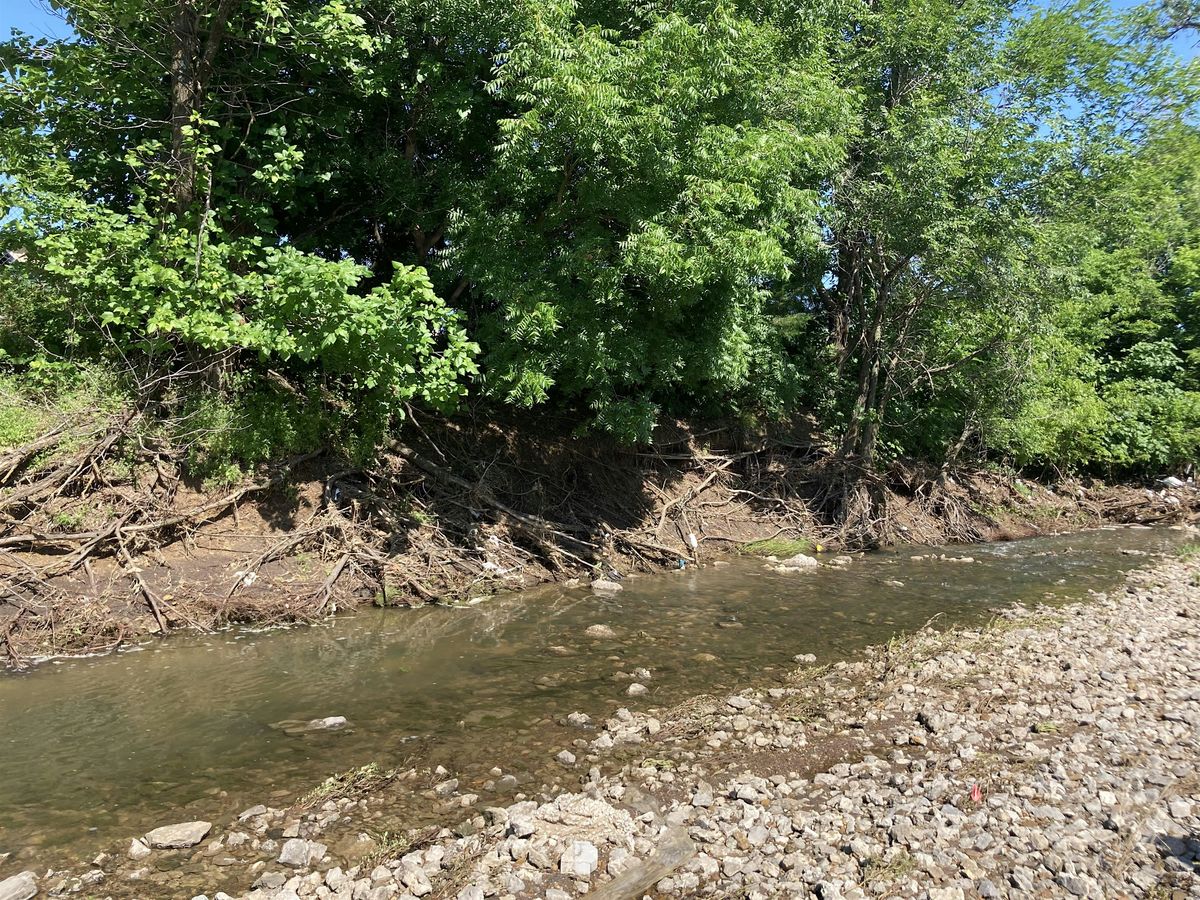 Watershed Walk