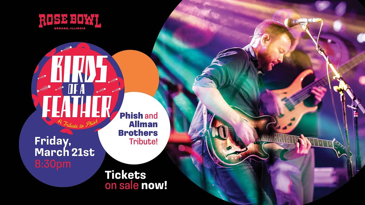 Birds of a Feather: Phish x Allman Brothers Tribute at the Rose Bowl Tavern