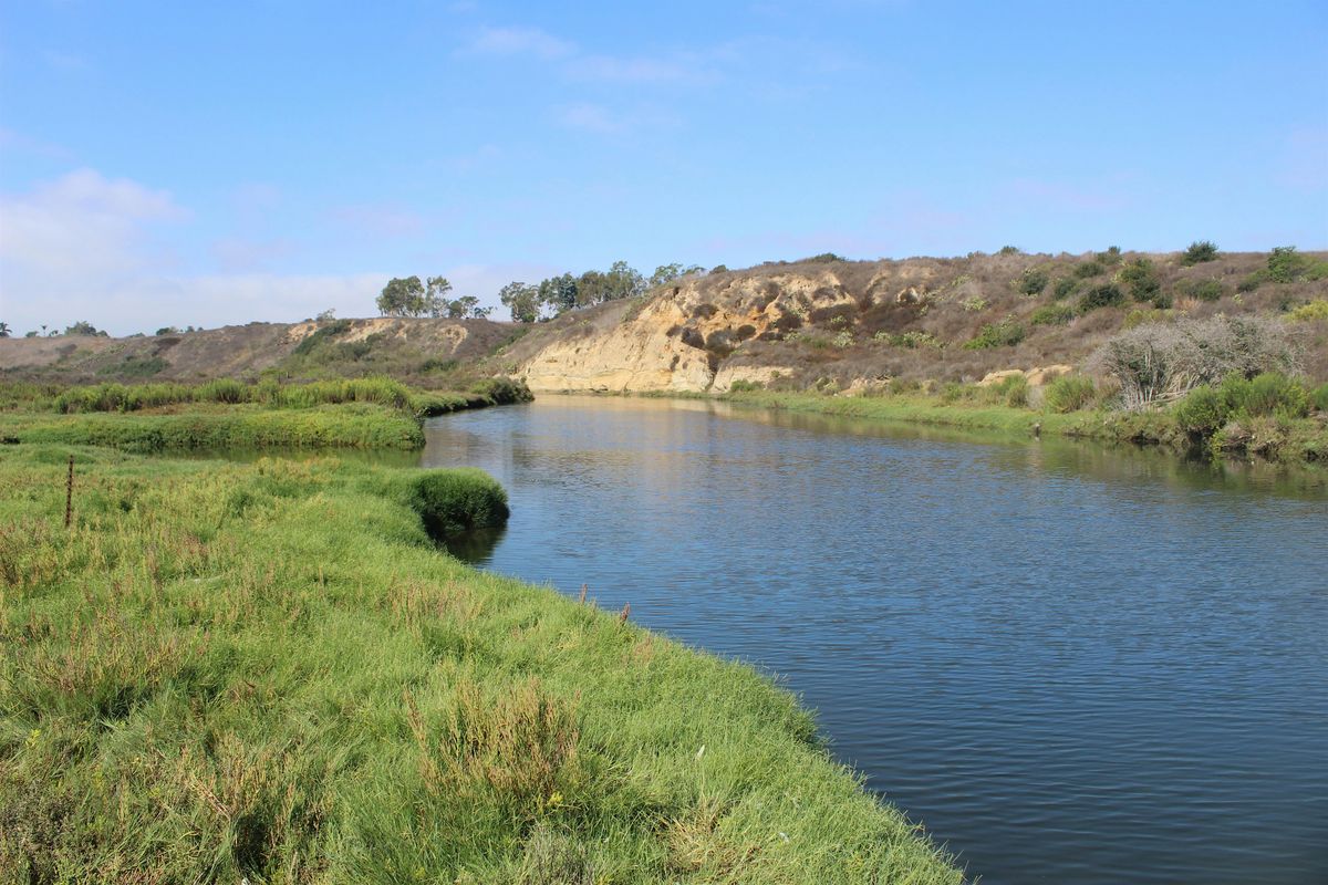 OCH Restoration at Upper Newport Bay (Salt Marsh)