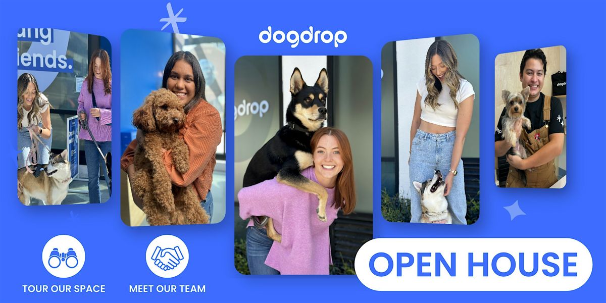 Dogdrop Arts District  Free Day! Meet the Owners!
