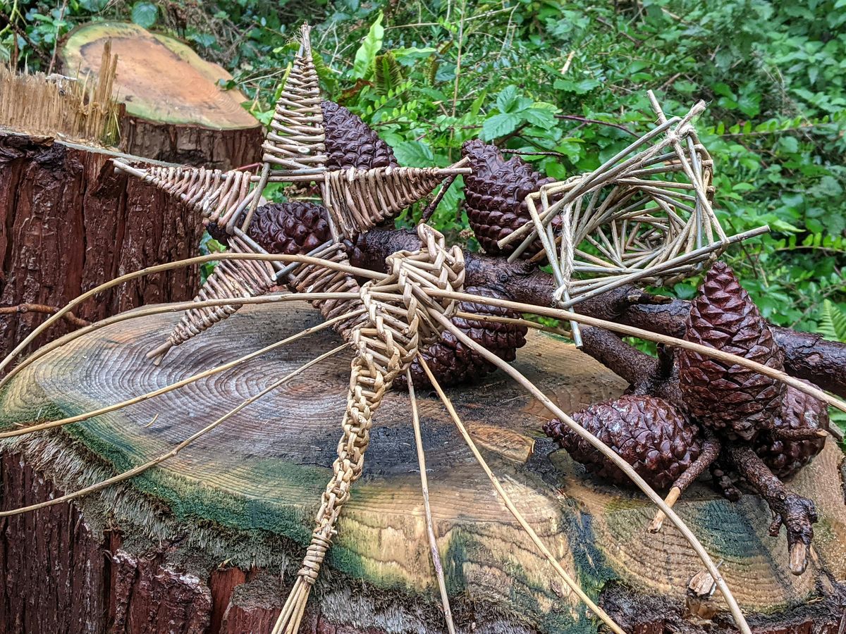 Family willow weaving workshop