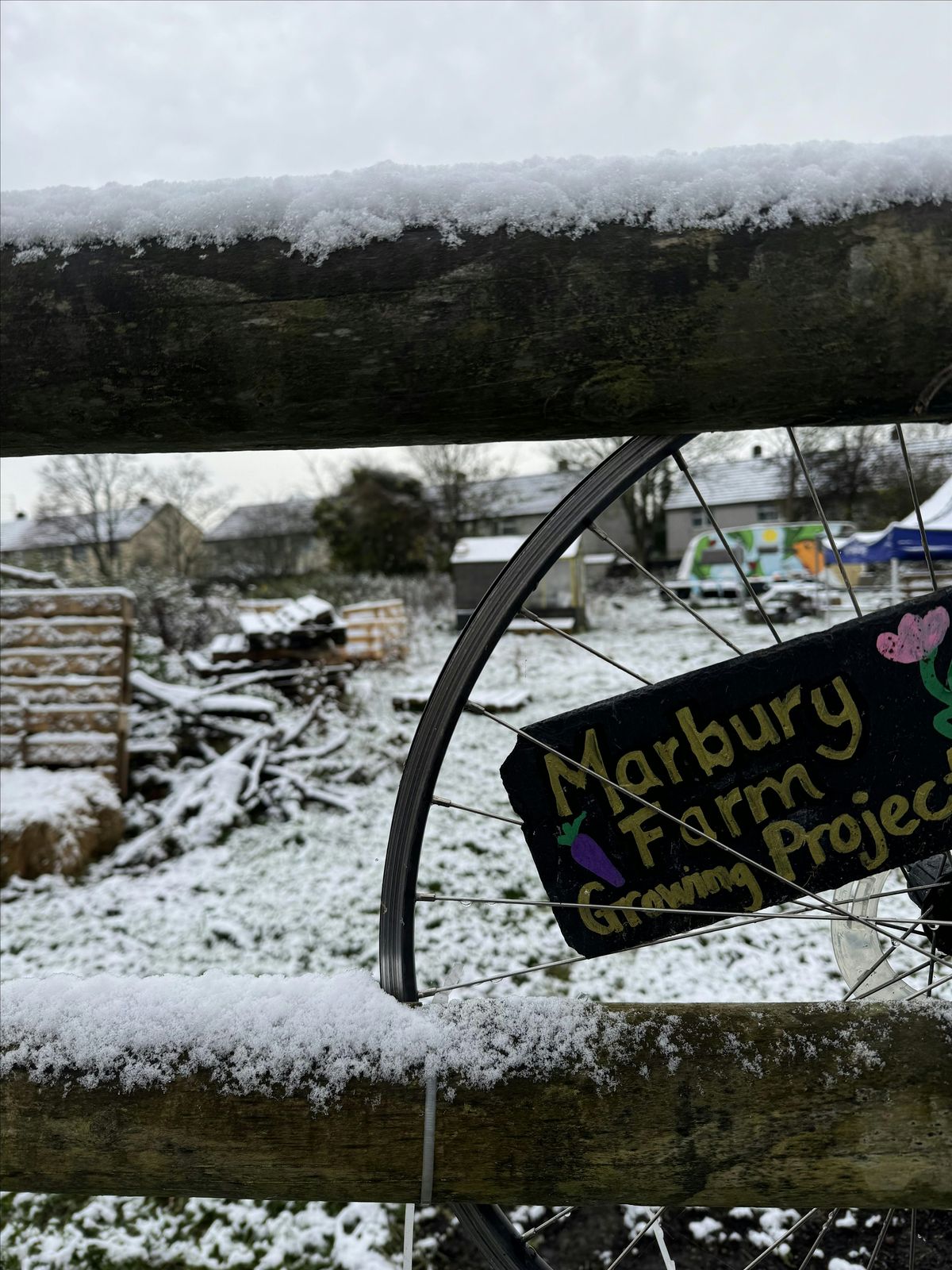 Winter wassail at Marbury Road Edible Garden