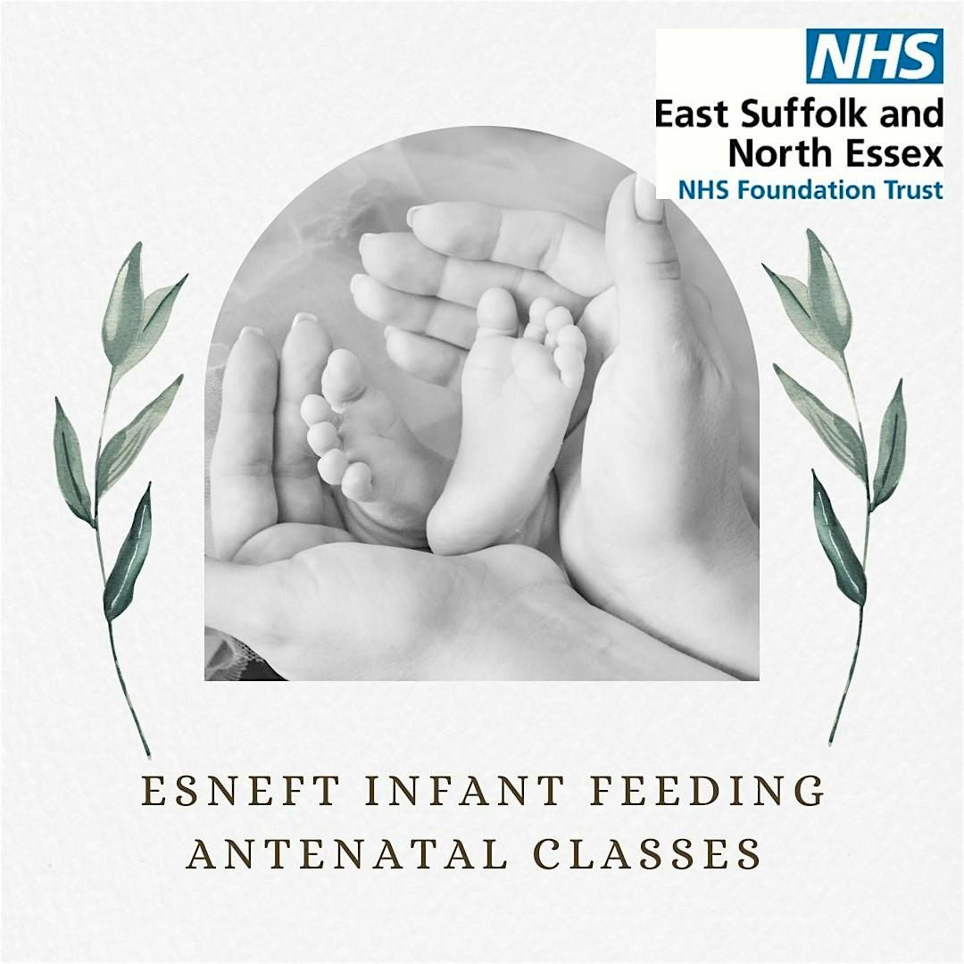 Colchester - Infant Feeding and Caring for your newborn baby in early days