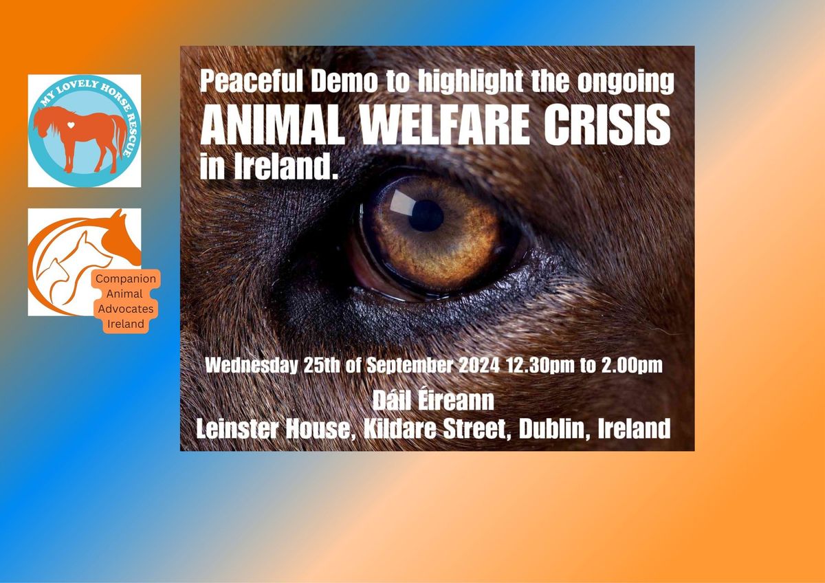 Peaceful Demo to highlight the Ongoing Animal Welfare Crisis in Ireland.