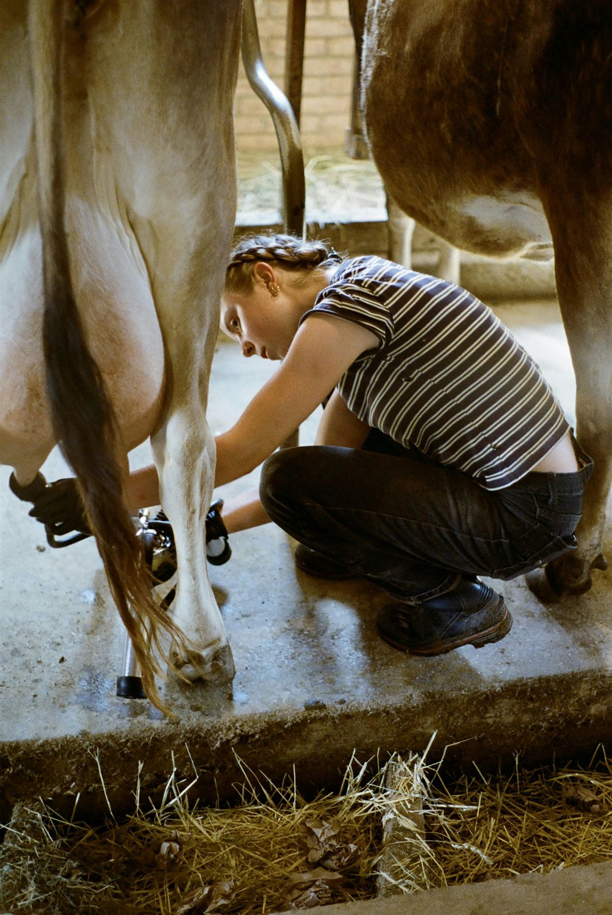 Farm Tours