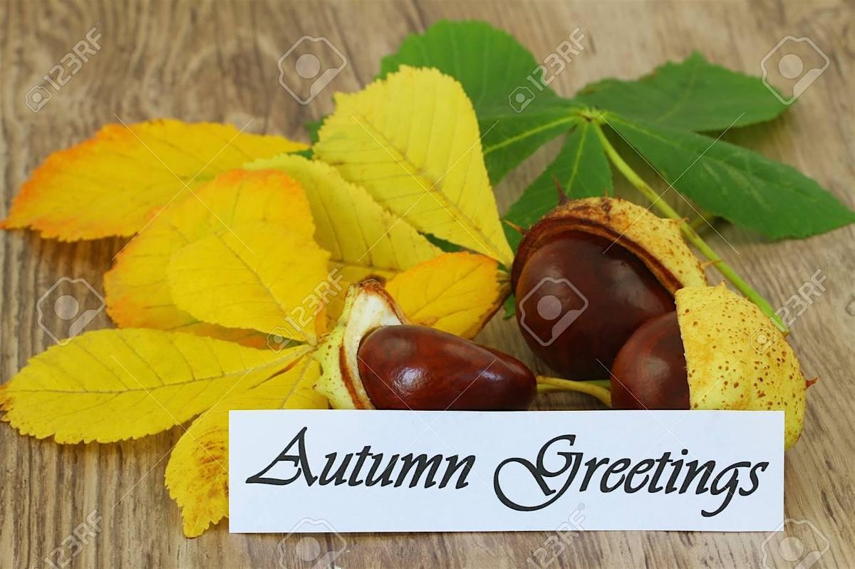 AUTUMNAL  GREETINGS
