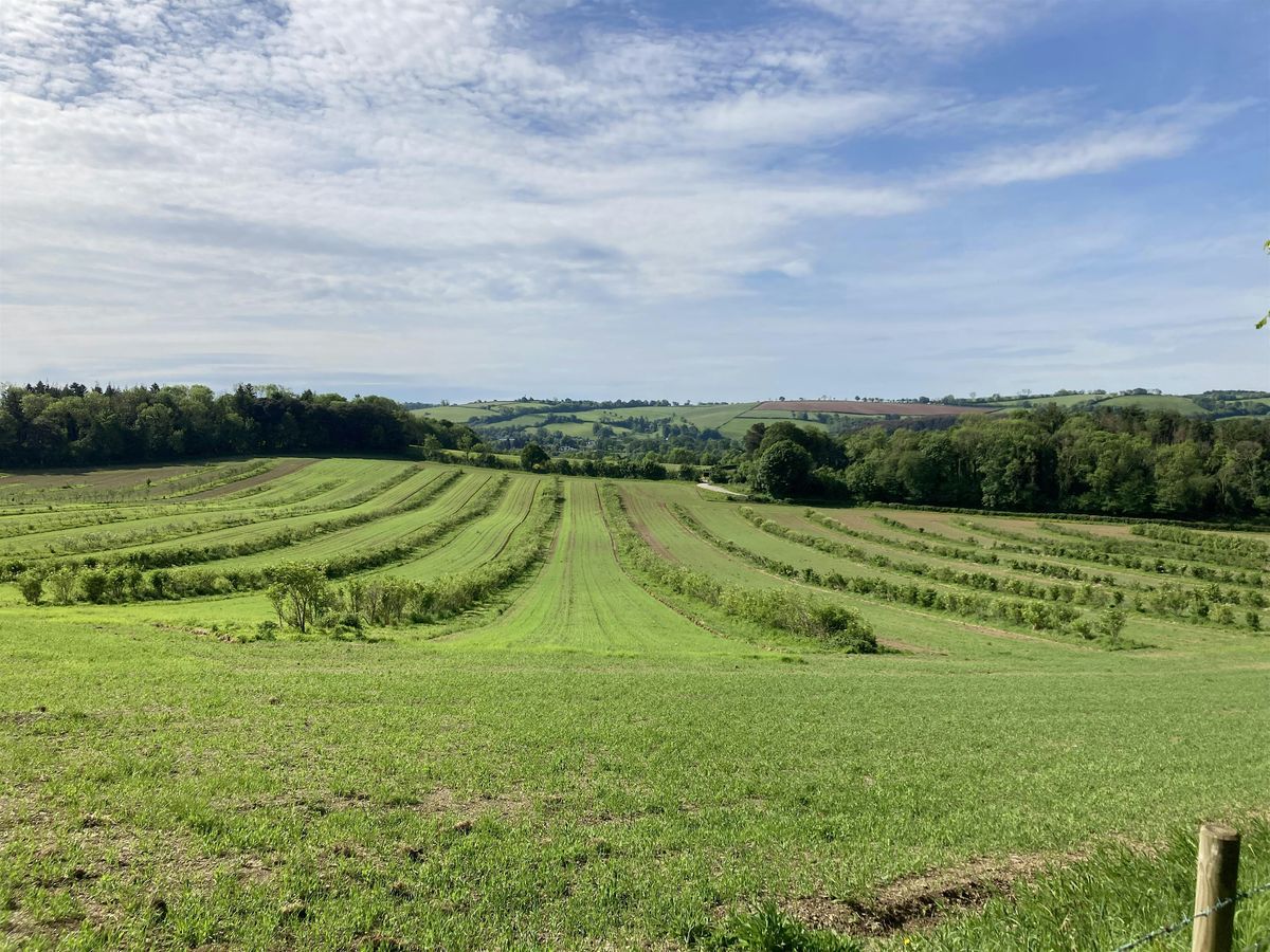 Perennial crops and agroforestry