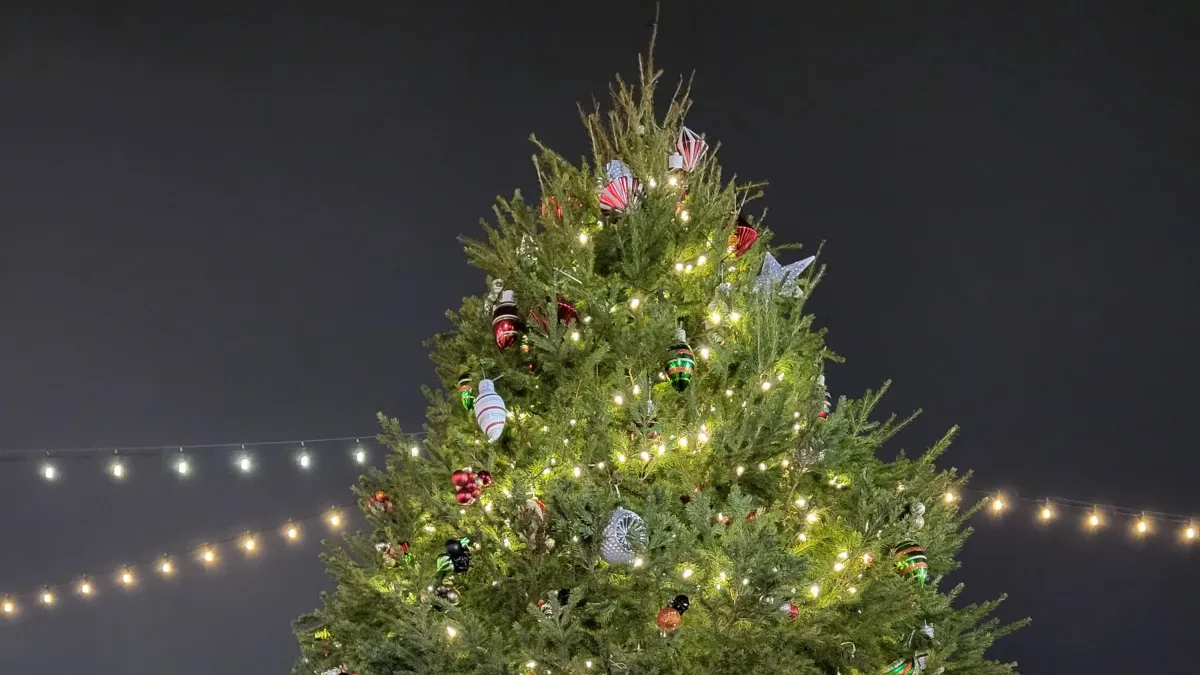 2nd Annual Holiday Hangout @ David's House