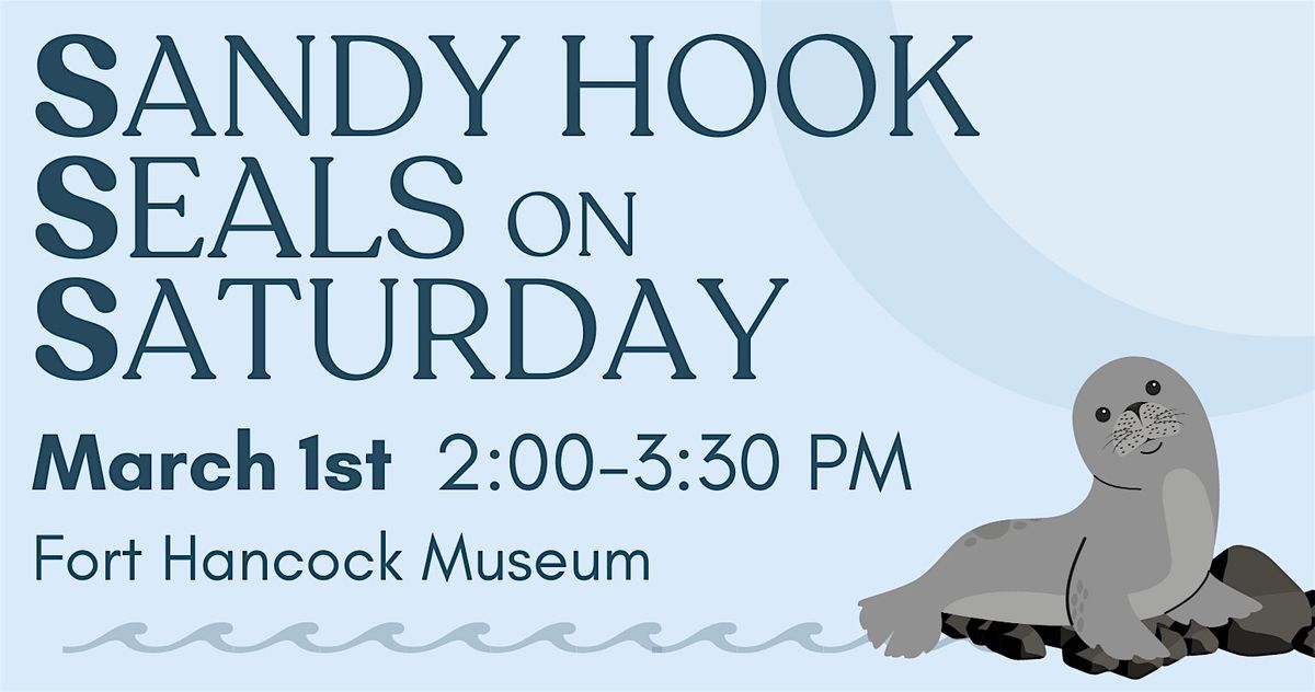 Sandy Hook Seals on Saturday