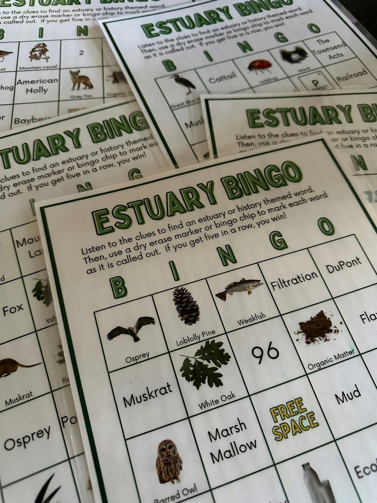 Estuary Bingo Night