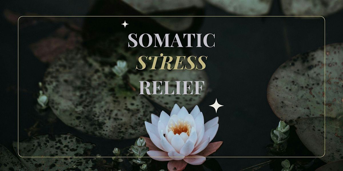 Somatic Stress Relief