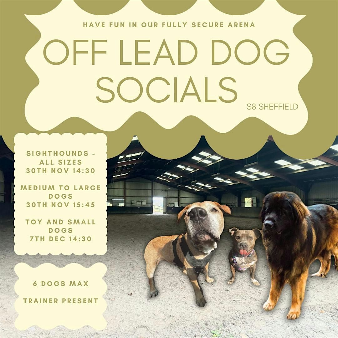 Off lead medium to large breed dog social in a fully secure arena S8