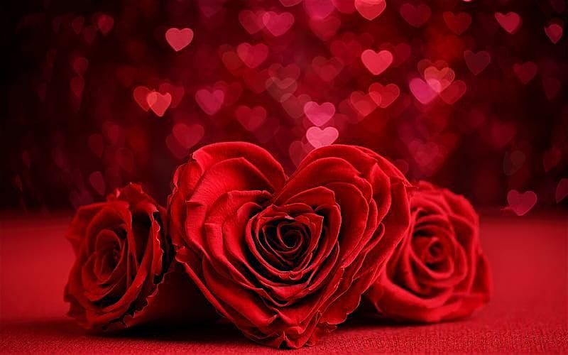 2nd Annual Sweetest Day Singles Mix & Mingle Event