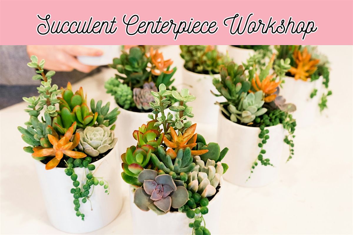 Succulent Centerpiece Workshop