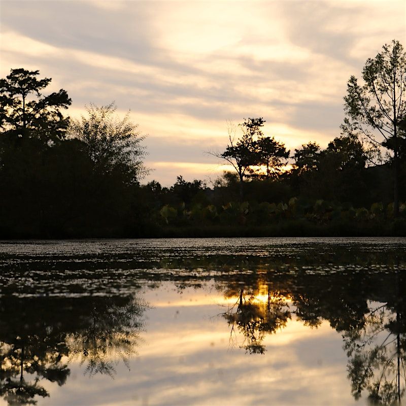 Sunset Yoga w\/ Kelly 8\/13 at 6pm