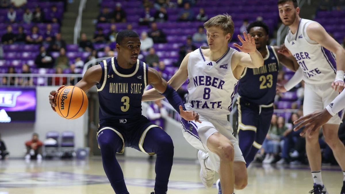 Montana State Bobcats at Weber State Wildcats Womens Vollleyball