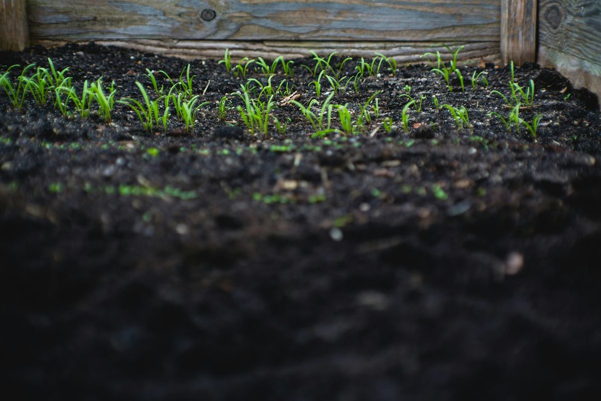 Building Healthy Soil & Cover Crops
