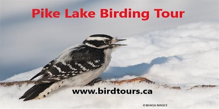 Pike Lake Winter Birding Tour