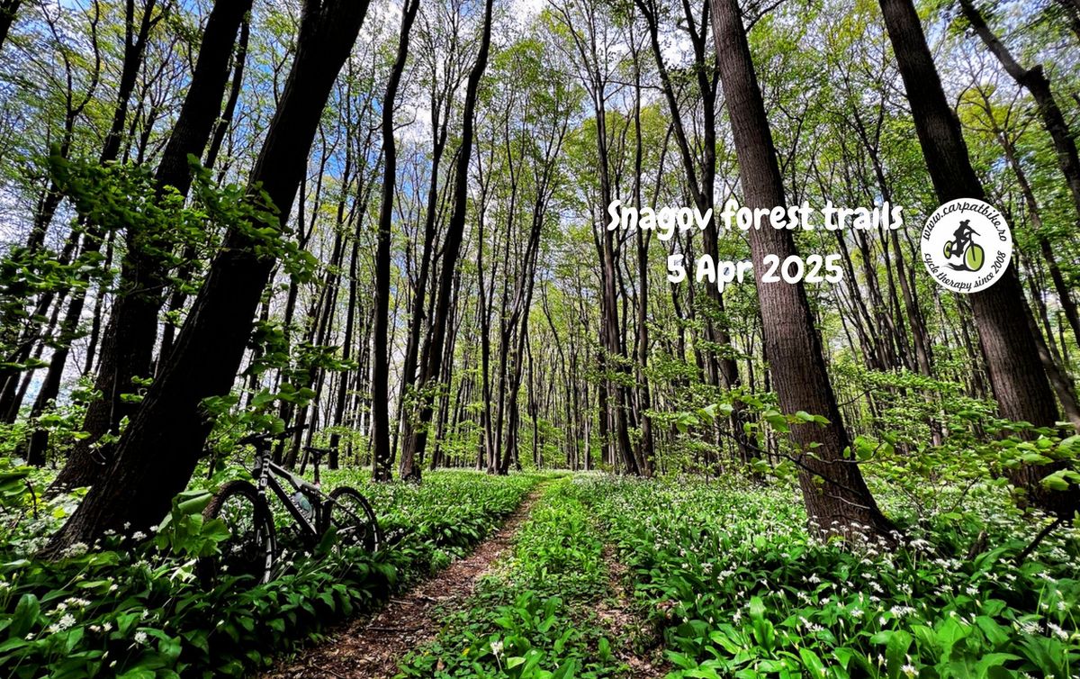 Spring training -Snagov forest trails