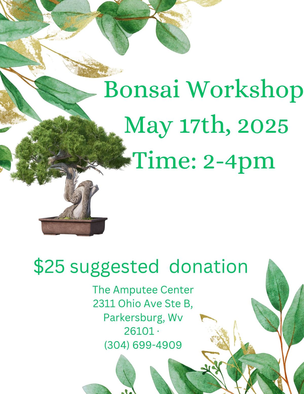 Bonsai Workshop