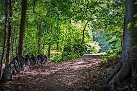 Bird Walk At Tregaron Conservancy