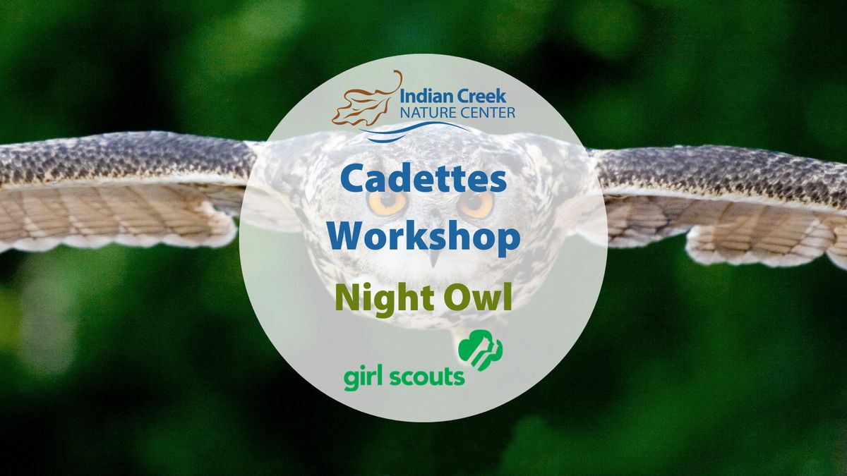 Night Owl (Cadettes Workshop)