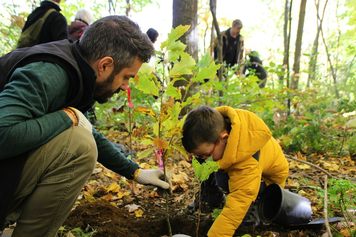 Plantation d'arbres et arbustes indig\u00e8nes\/Planting native trees and shrubs