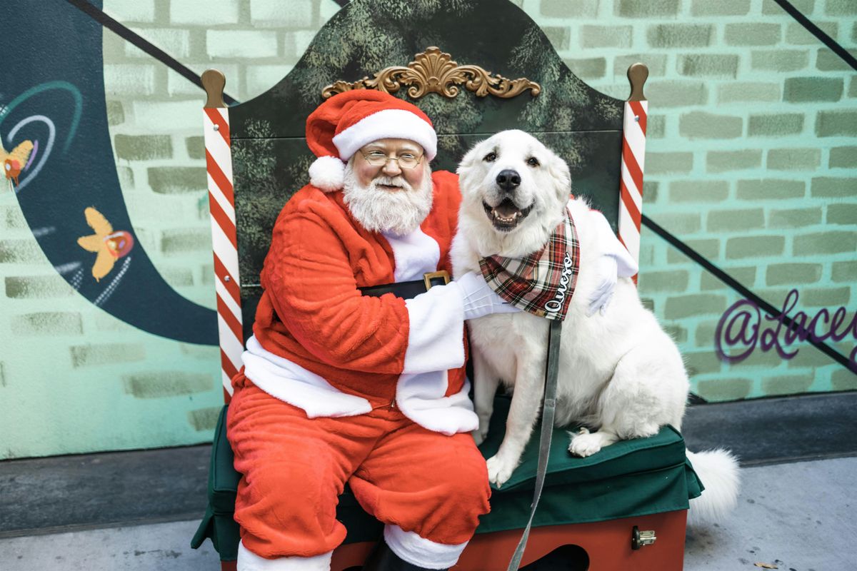 Pet Photos with Santa