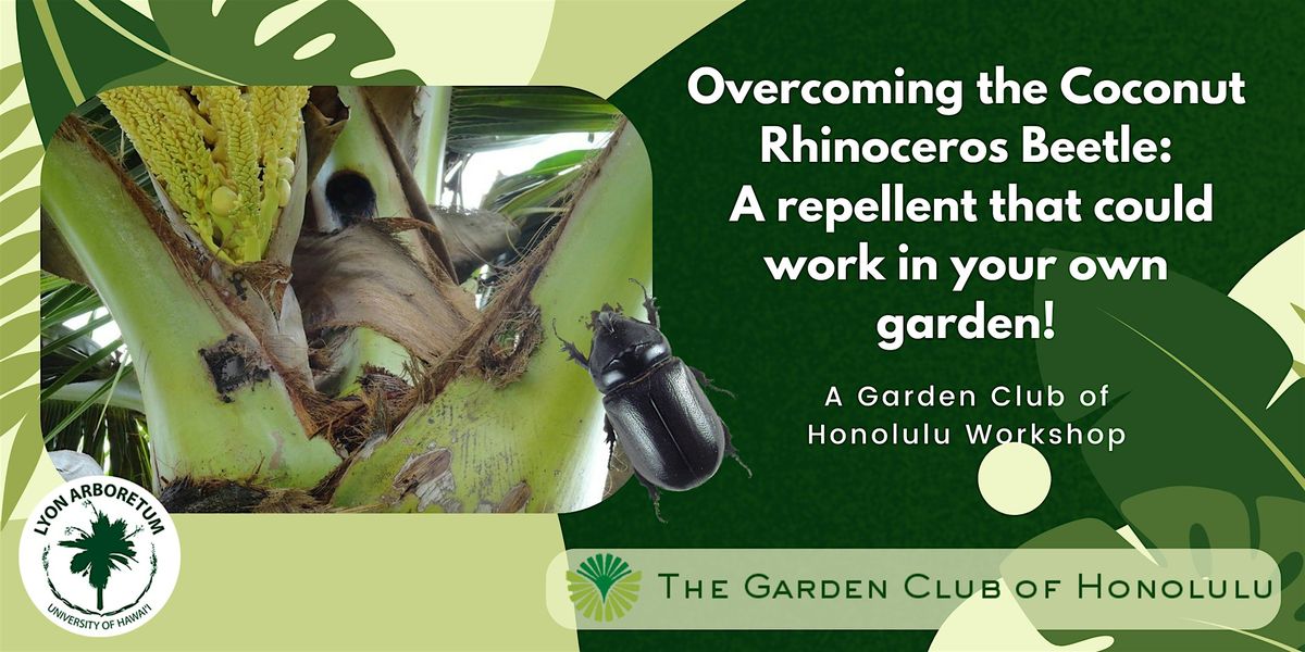 Overcoming the Coconut Rhinoceros Beetle