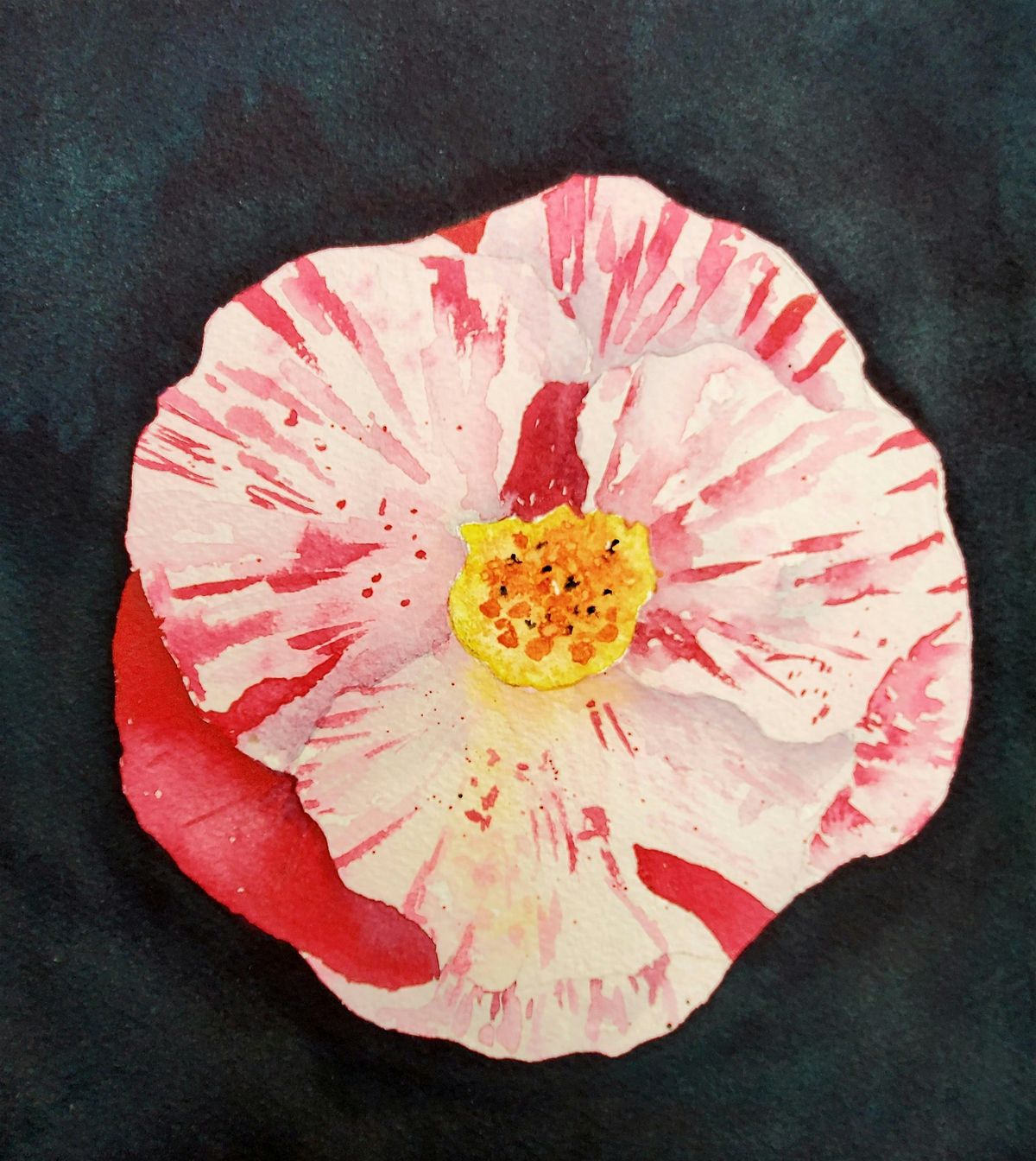 Watercolor For Beginners: Camellia