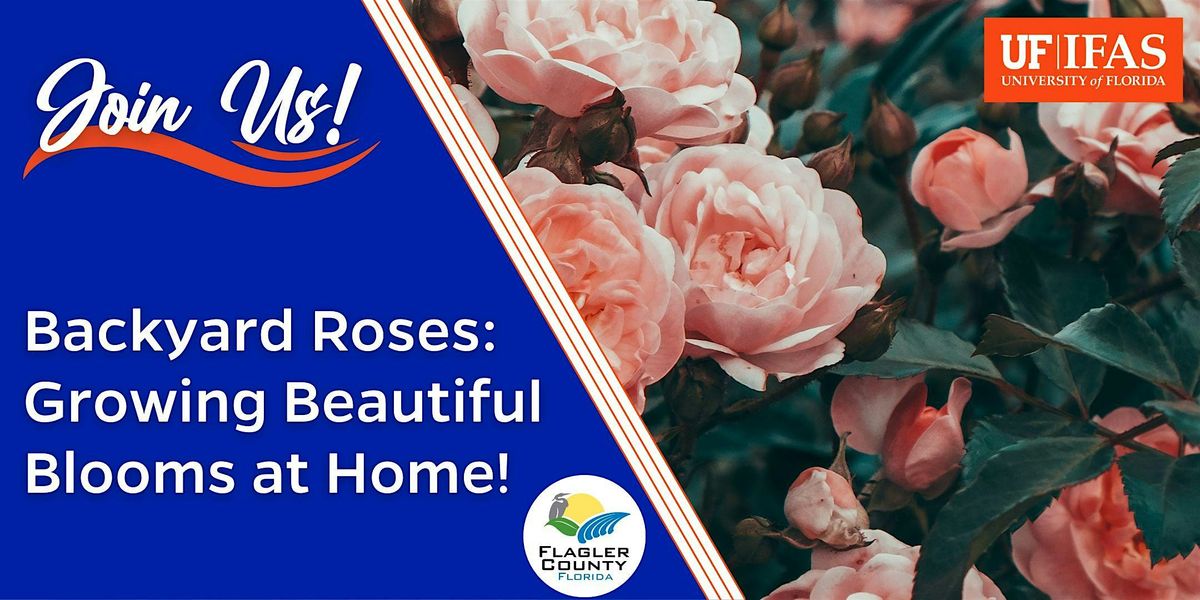 Backyard Roses: Growing Beautiful Blooms at Home