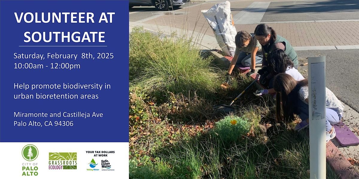 Volunteer Outdoors in Palo Alto: Bioretention Area Maintenance at Southgate