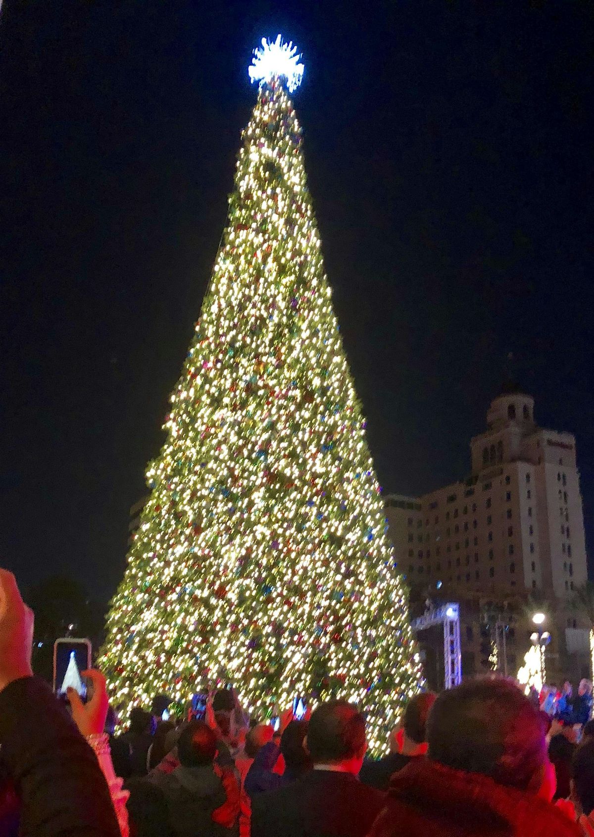 Christmas Cruise of Lights Alamitos Bay